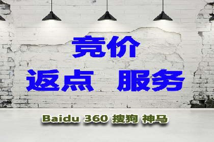 竞价代运营实战案例深度剖析